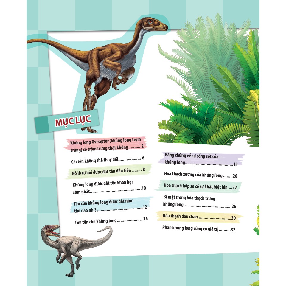 Sách-Kiến thức về khủng long-Khủng long Oviraptor có trộm trứng thật không?Đặt tên và hoá thạch.