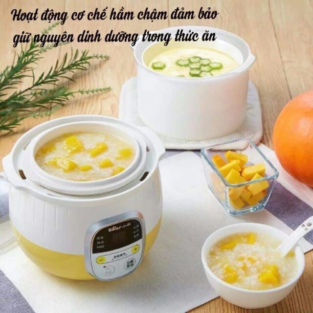 Nồi Hầm Cháo - Ninh Nấu Cháo - Chưng Yến - Tiềm Cách Thủy CHÍNH HÃNG BEAR -0.8L - Hẹn Giờ Giữ Ấm 8h