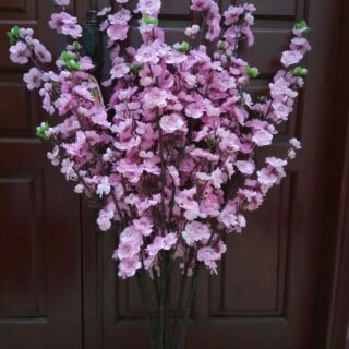 Cành đào vải lụa
