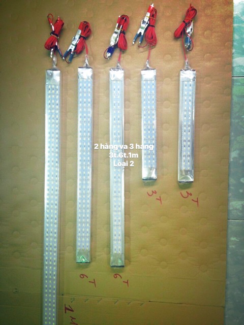 Đèn led 12V/ 24V 60cm ( 3 hàng thẳng) | BigBuy360 - bigbuy360.vn