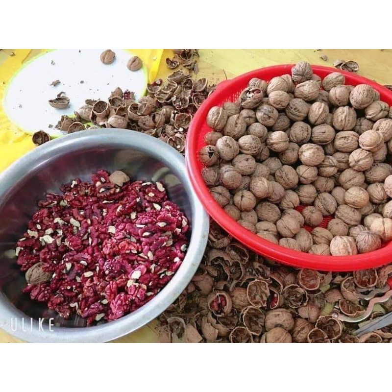 500G NHÂN ÓC CHÓ ĐỎ NHẬP KHẨU MỸ