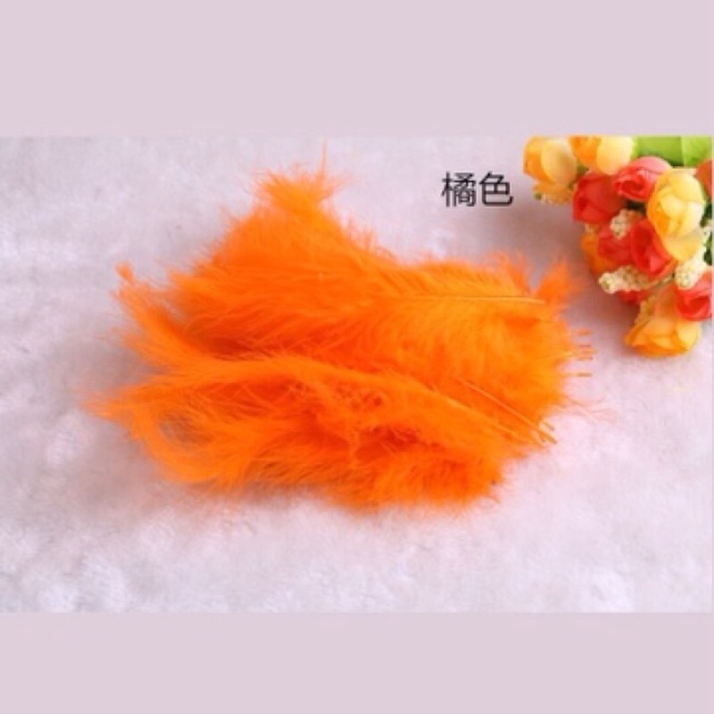 Bộ 100 Lông Vũ Tự Nhiên Nhiều Màu Dùng Làm Dreamcatcher DIY