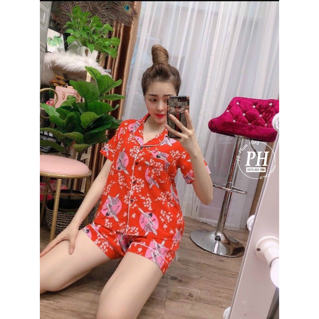 Bộ đùi pijama nữ ngắn họa tiết dễ thương