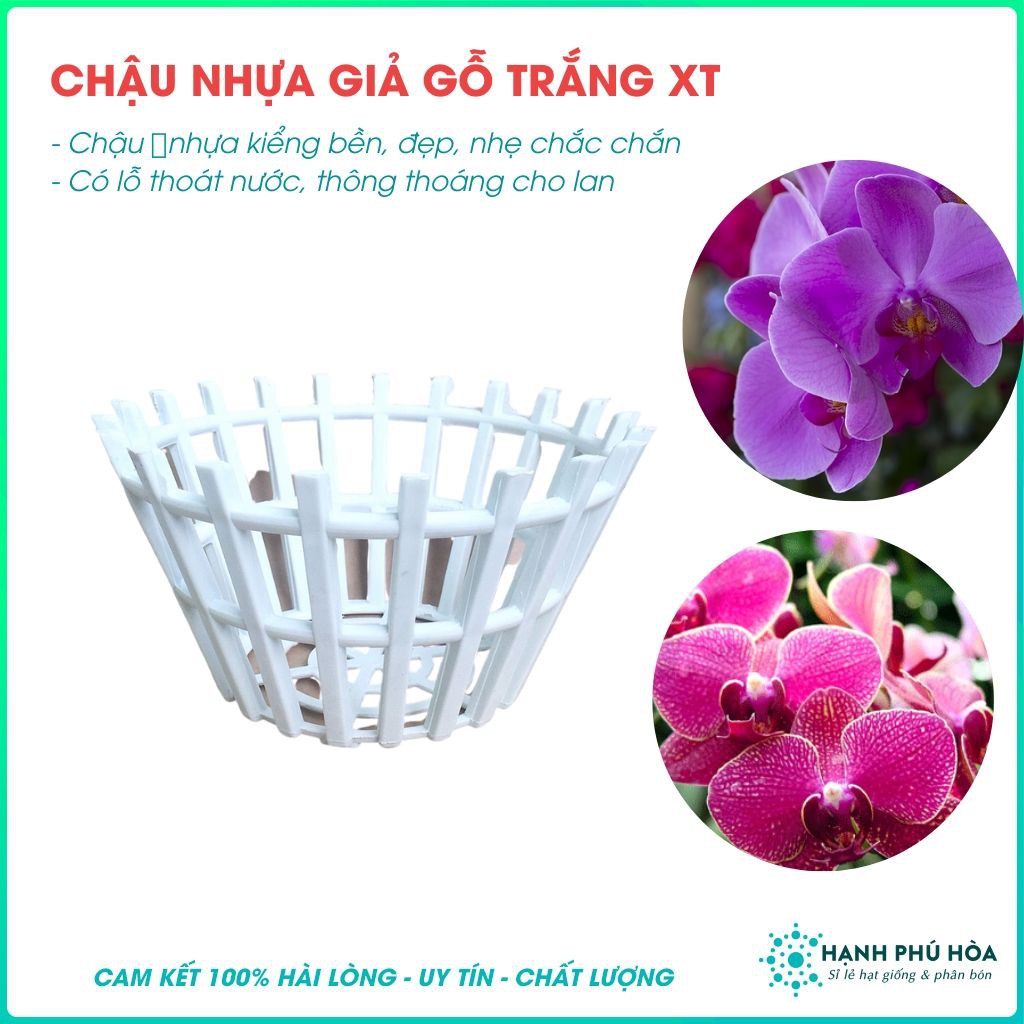 Bộ 3 Chậu Lan Giả Gỗ Trắng Kích Thước Tuỳ Chọn