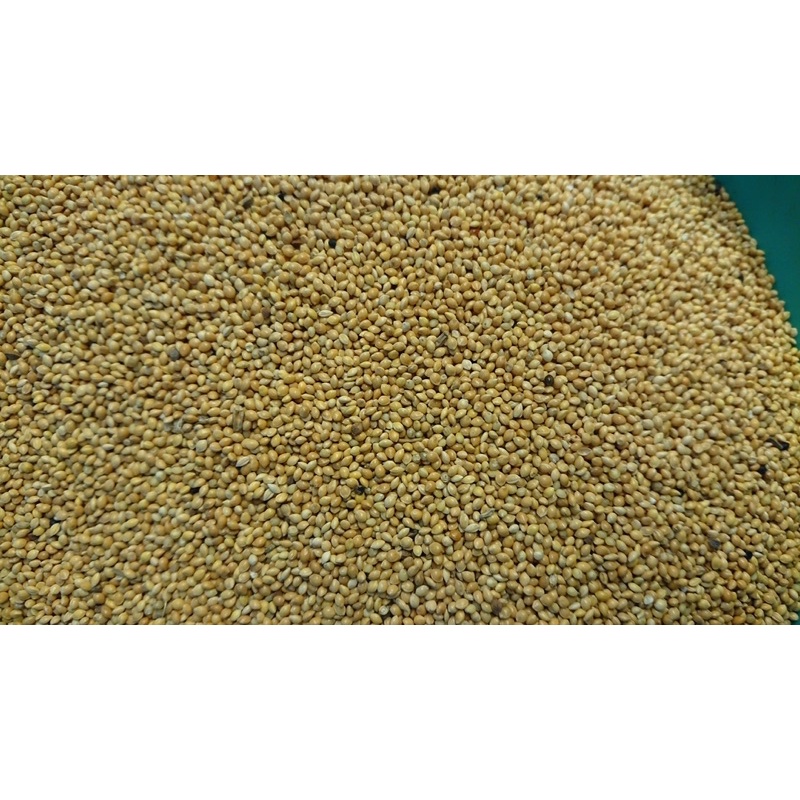 Kê vàng hạt to hàng Bỉ gói chiết lẻ 1kg