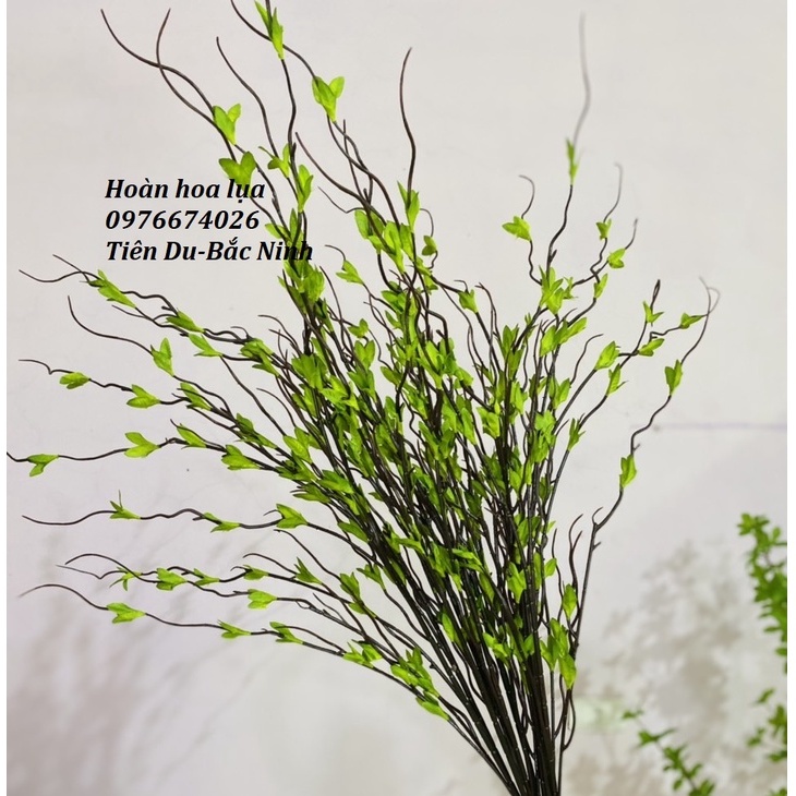 Hoa giả_Cành Salic cổ mầm cực đẹp, cắm bình, cắm điểm hoa, phù hợp với tất cả không gian ngôi nhà bạn