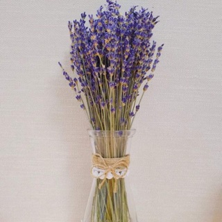 Lọ thuỷ tin vintage kèm 150 cành Lavender Pháp (Như ảnh)