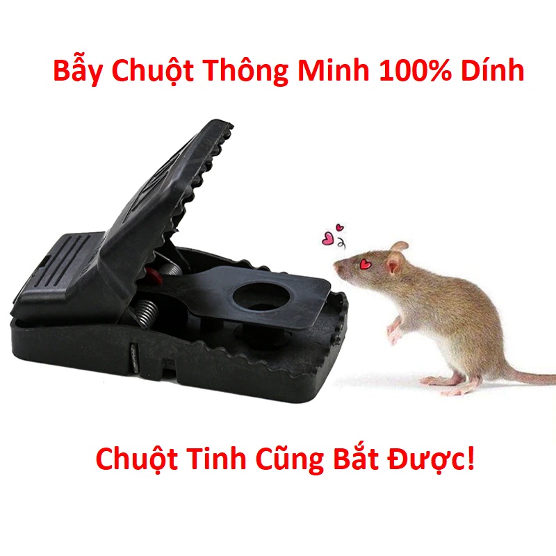 Bẫy chuột thông minh, bẫy chuột đen thông minh 100% dính giá rẻ