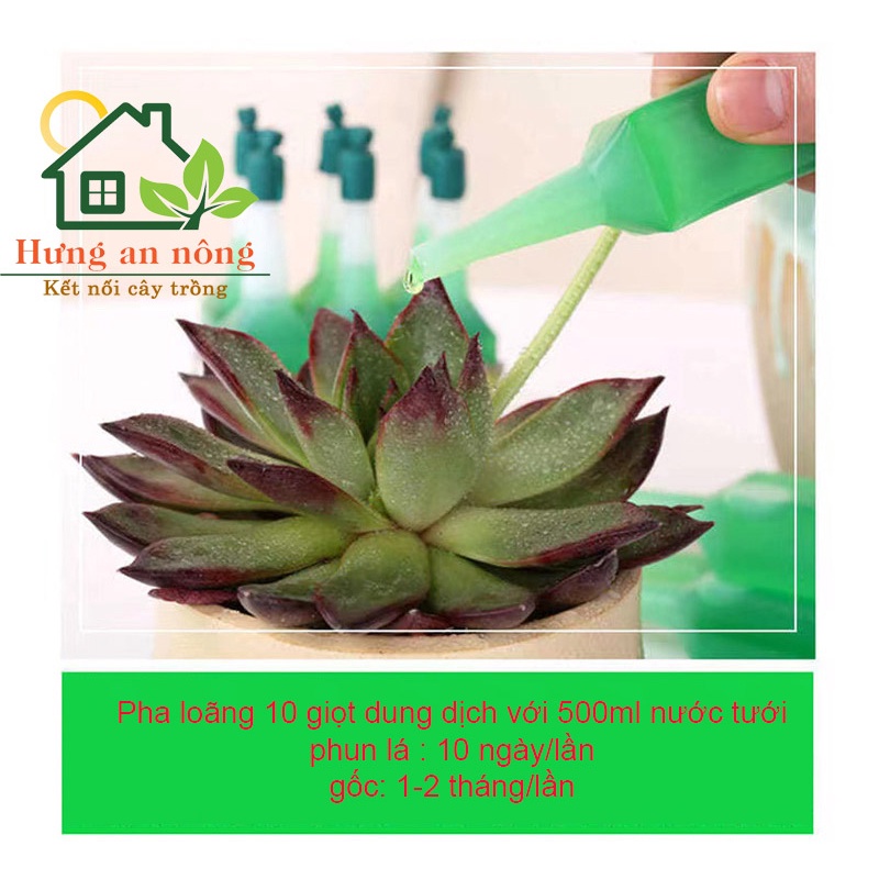Dung dịch thuỷ canh đậm đặc dùng cho tất cả cây trồng chai 38ml