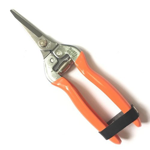 (SIÊU RẺ) Kéo hái quả, cắt tỉa cành, cắt tỉa chi nhỏ 195mm BUDDY BD024