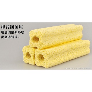 Combo 10 cây sứ lọc nước