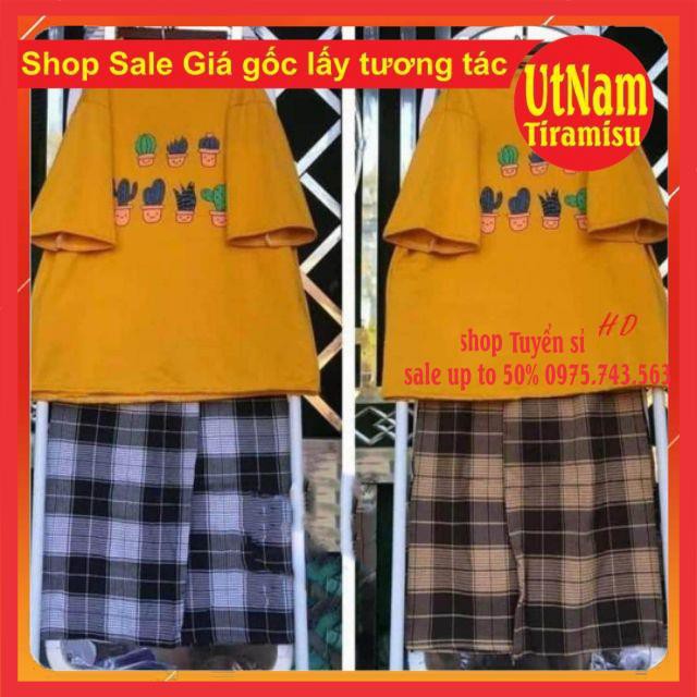 Sét áo phông chậu cây xương rồng+ quần kẻ | BigBuy360 - bigbuy360.vn
