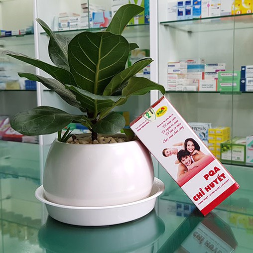 Pqa Chỉ Huyết – Hỗ trợ giúp thanh nhiệt, mát gan, giải độc, thanh lọc cơ thể (Chai 125ml)