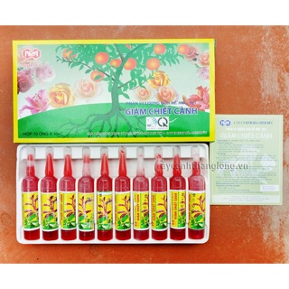 Dung dịch giâm chiết chiết cành (10 ống)