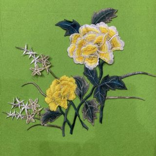 Khóm hoa hồng