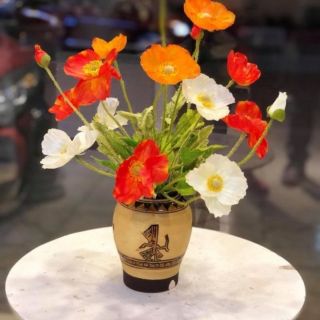 Hoa anh túc _ Hoa giả