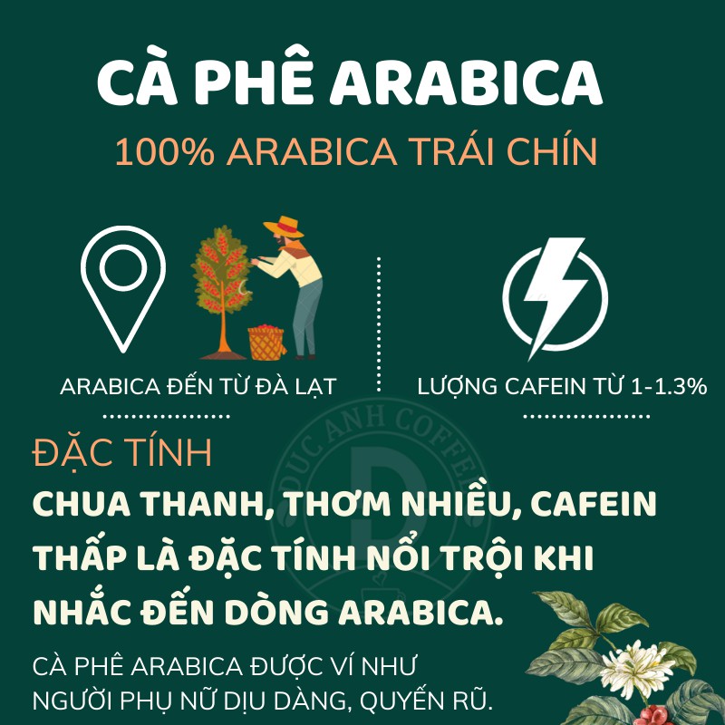 1kg cà phê rang mộc DUC ANH COFFEE tất cả các tùy chọn robusta và arabica - xay dùng pha phin, cafe pha máy, cafe hạt