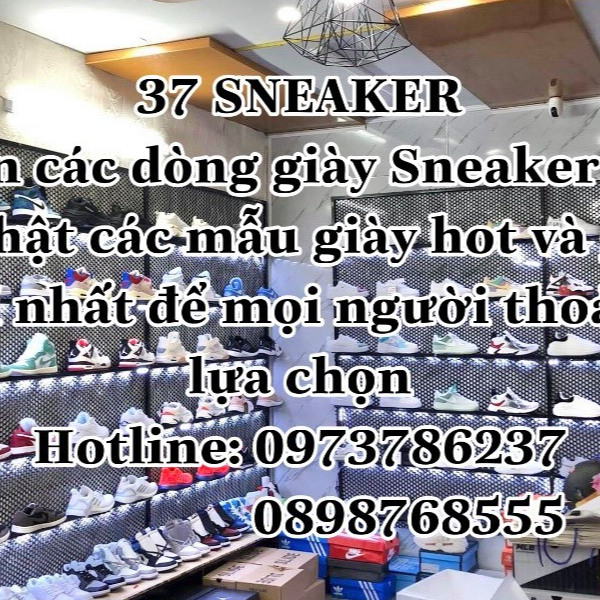 37sneaker