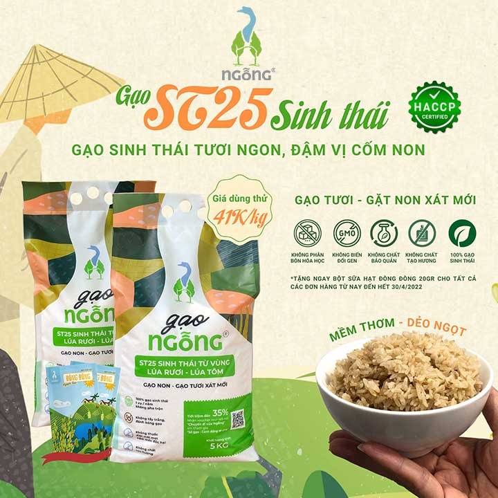 Gạo Ngỗng Sinh Thái ST25_Gạo Sạch Ruộng Rươi -Tôm Gói 700gr