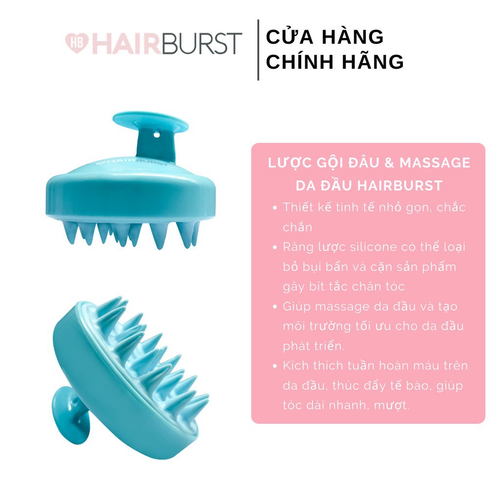 Lược Gội Đầu Và Massage Da Đầu Kích Thích Mọc Tóc Hairburst