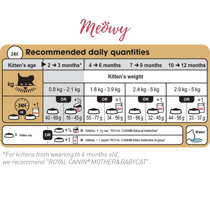 Hạt Royal Canin British Shorthair cho mèo Anh lông ngắn