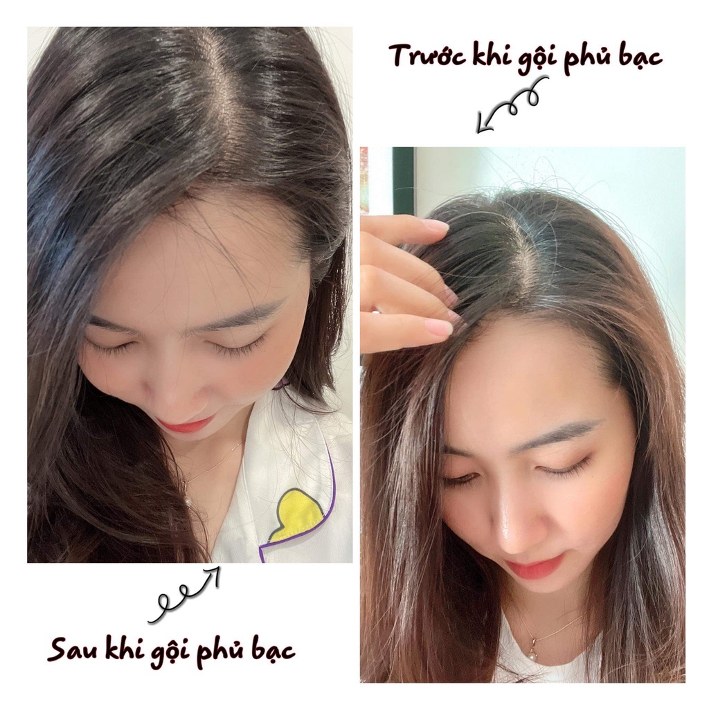 Dầu gội phủ bạc nhụy hoa nghệ tây Saffron Hair Dye Shampoo