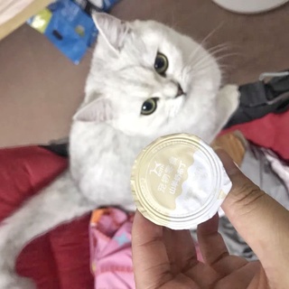 Pudding Sữa Dê Cho Mèo - Túi 15 Viên