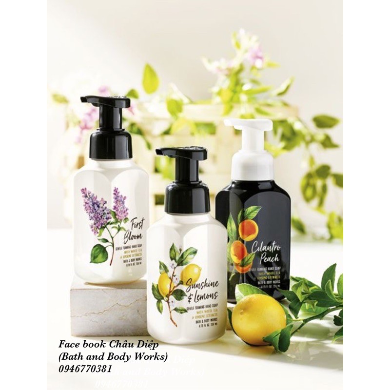 🍀Link 2-ĐỦ MÙI🍀 Nước rửa tay tạo bọt Bath and Body Works | BigBuy360 - bigbuy360.vn