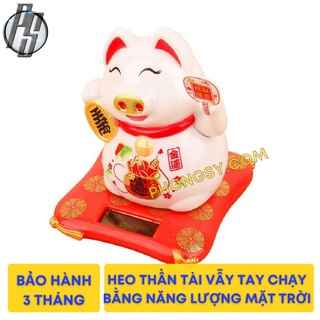 Heo Tài Lộc Vẫy Tay Chào Mặt Trời