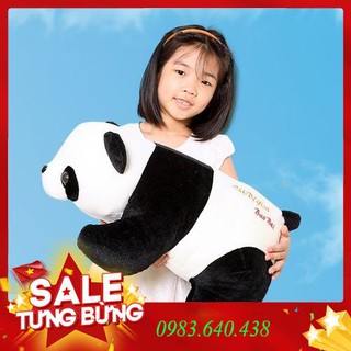 Gấu bông gối ôm Gấu Trúc - Panda size 60cm