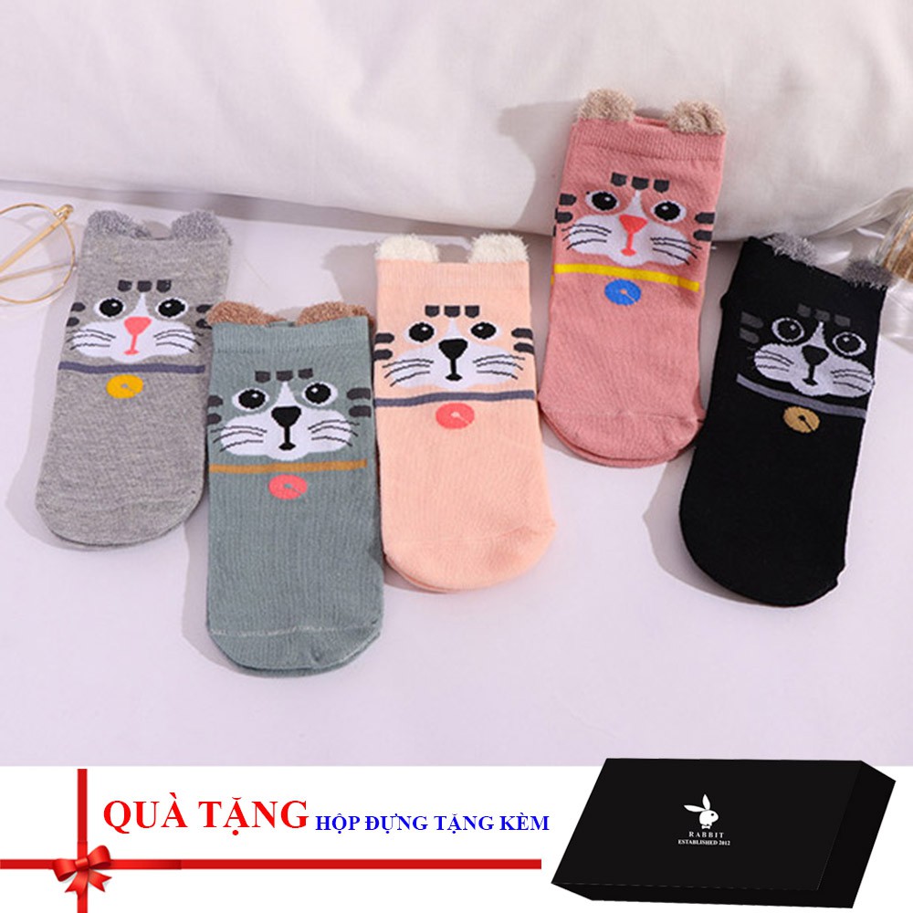 Combo 05 đôi tất / vớ nữ cao cấp có kèm hộp đựng (Loại 1)