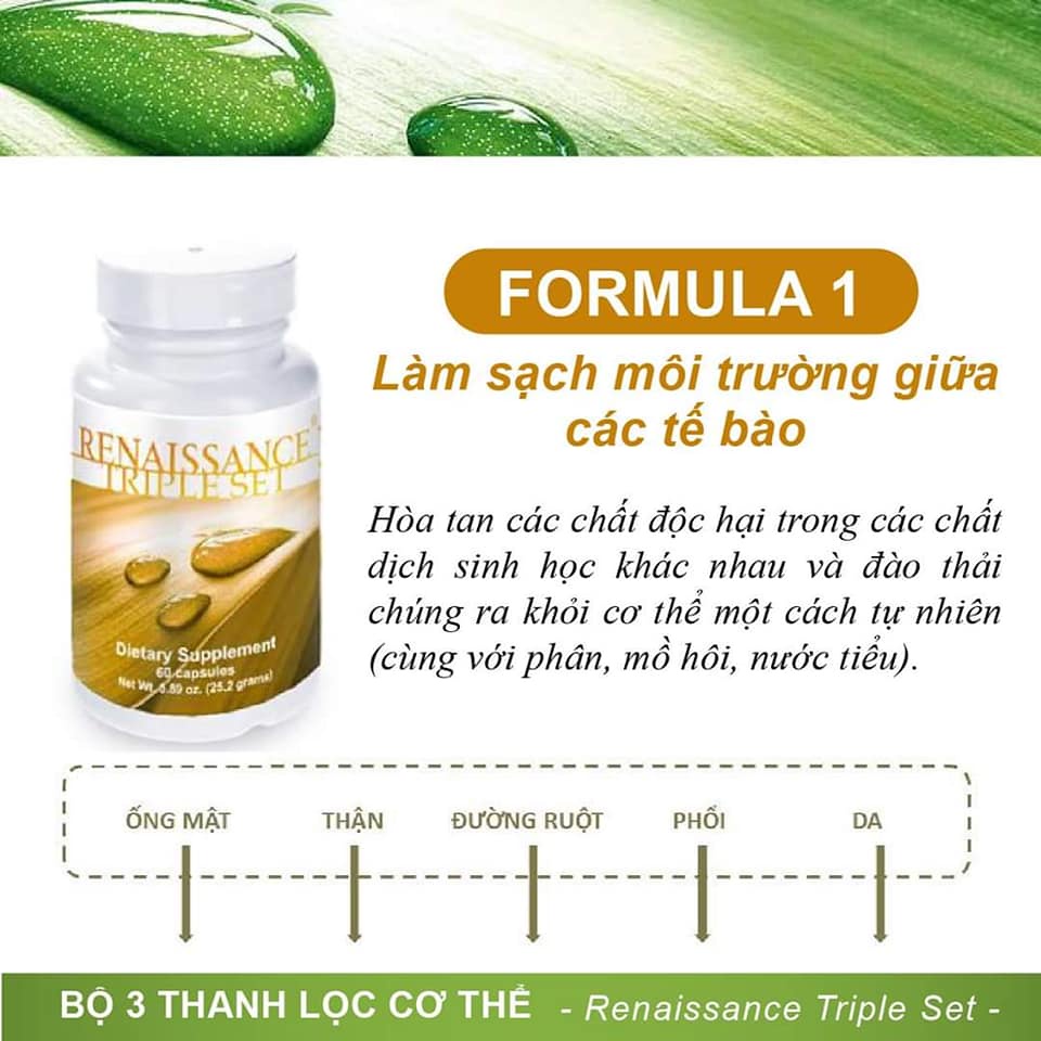Bộ 3 trà thải độc Renaissance Triple Set - Siberian Wellness - 180 viên