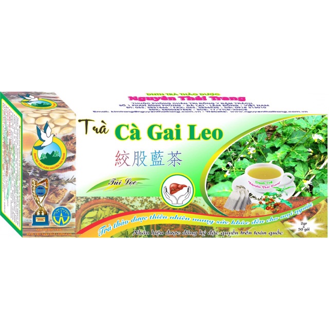 TRÀ CÀ GAI LEO- GIẢI ĐỘC GAN NGUYÊN THÁI TRANG