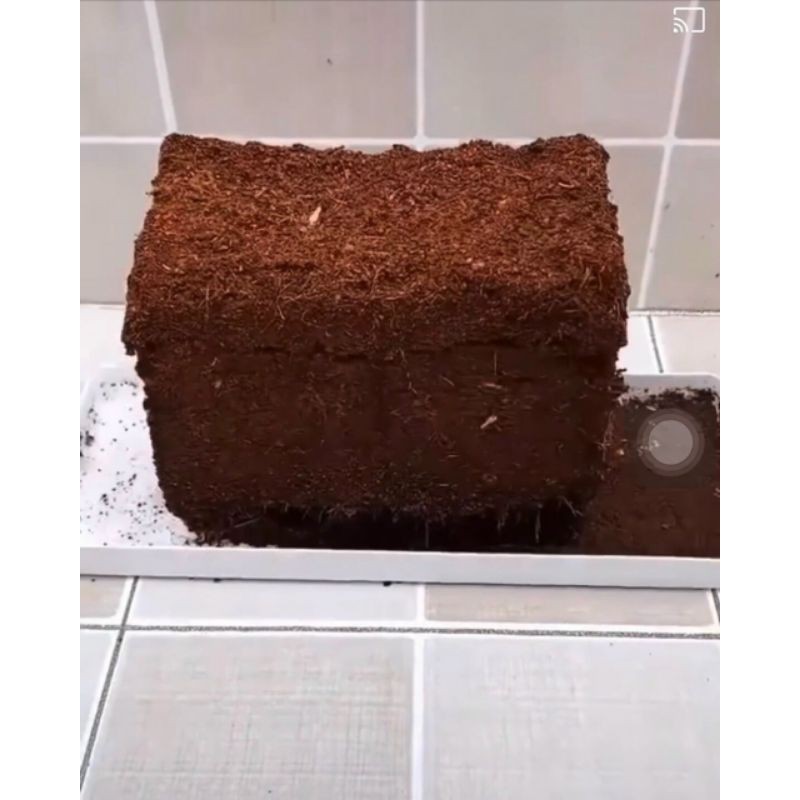 Đất Sạch nén Hữu Cơ nhiều dinh dưỡng..