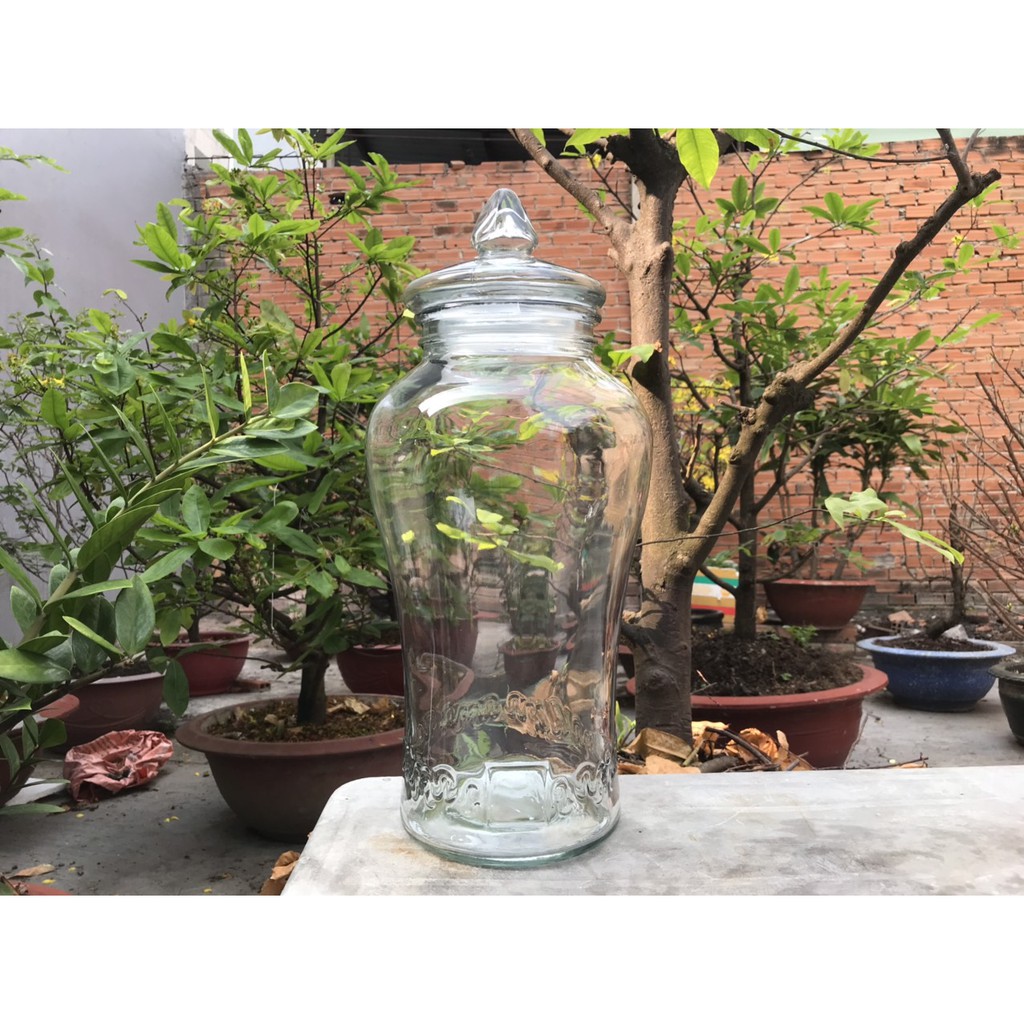 Bình thủy tinh 6 lít sâm chân mây có van &amp; không van
