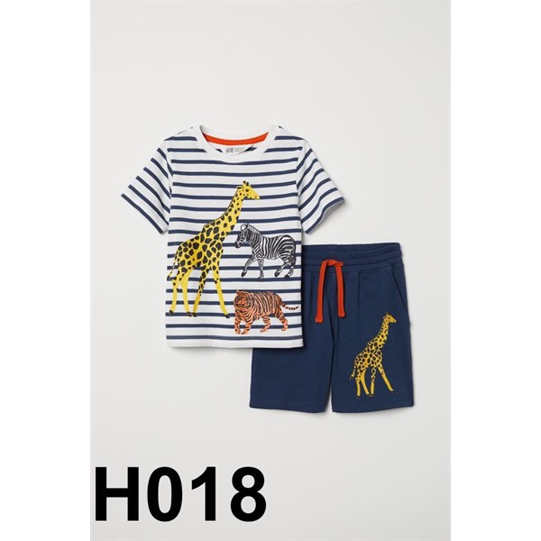 H018 Bộ bé trai nhiều hình