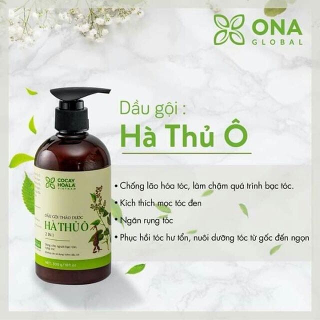 [ 100% HẾT HÓI ĐẦU ] Dầu Gội Hà Thủ Ô 2in1 Giảm Rụng Tóc Bạc Tóc chống hói đầu Cocayhoala 300g