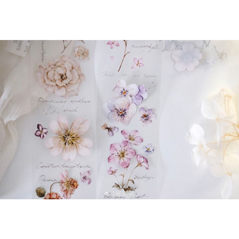 Krisna.room ♡ Freckles Tea vol.1- 1 chu kì 300cm cuộn băng dán Hoa xinh xắn