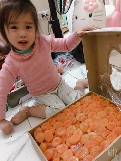 Mơ sấy dẻo