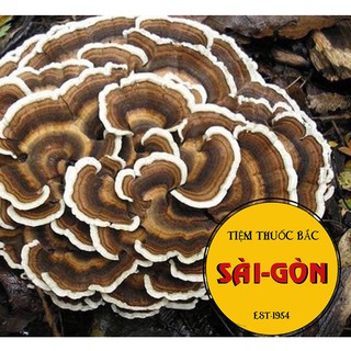 Nấm Vân Chi Sấy Khô 200gram (Tặng Kèm Táo Đỏ + Kỉ Tử)