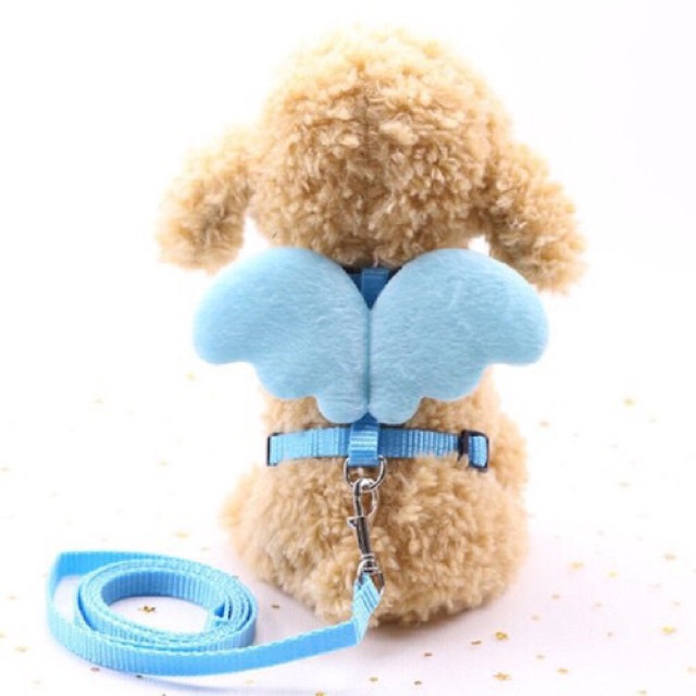Dây Dắt Chó Mèo Cánh Thiên Thần, Dây Xích Thiên Thần