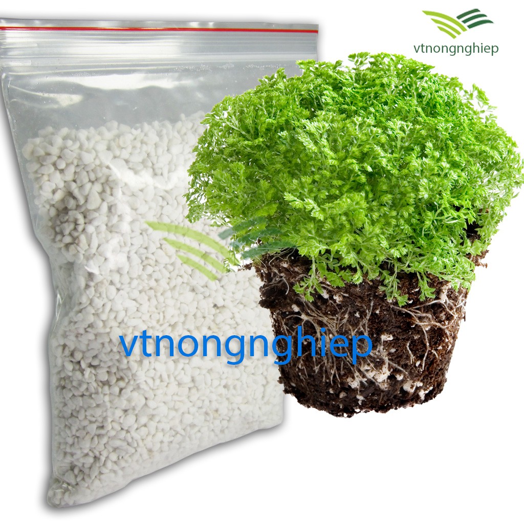 Đá perlite  200, khoáng chất tự nhiên, giá thể trộn đất trồng cây, hoa lan, hoa hồng
