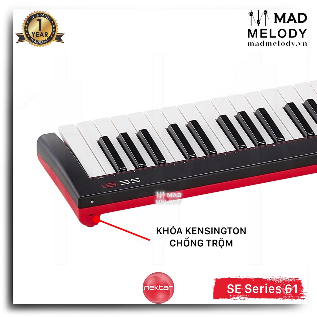 Nektar se61 61-key usb midi keyboard controller đàn soạn nhạc 61 phím, - ảnh sản phẩm 9