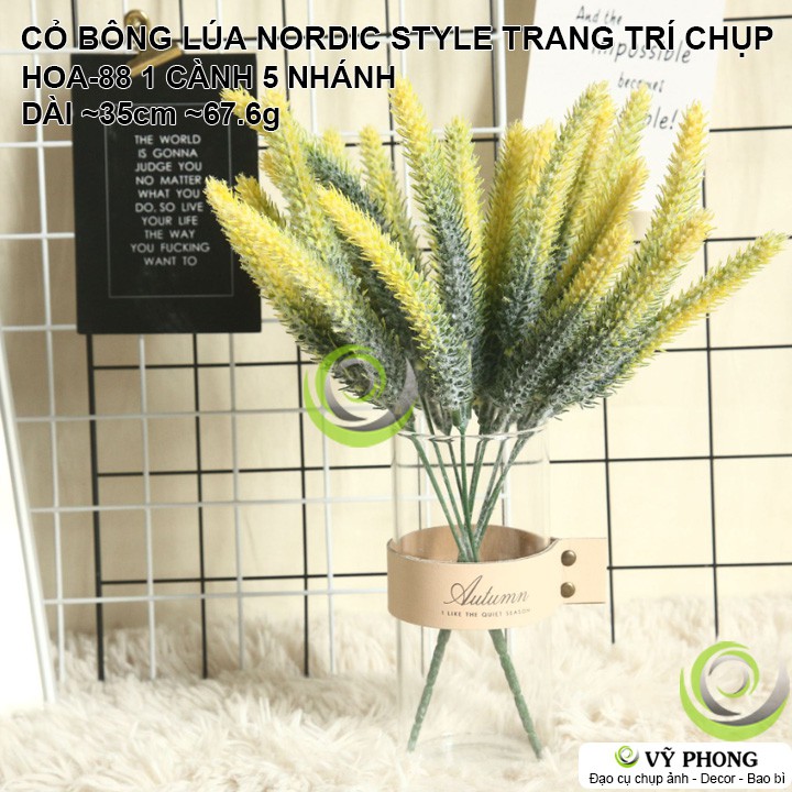 CỎ BÔNG LÚA ĐẠO CỤ TRANG TRÍ DECOR INS NORDIC STYLE HOA-88