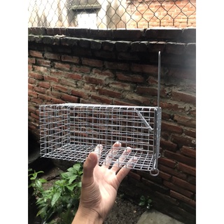 Combo 5 lồng bẫy chuột,bẫy sóc 11x12x23cm lưới chống rỉ.
