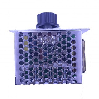 Module dimmer AC 220V 4000W