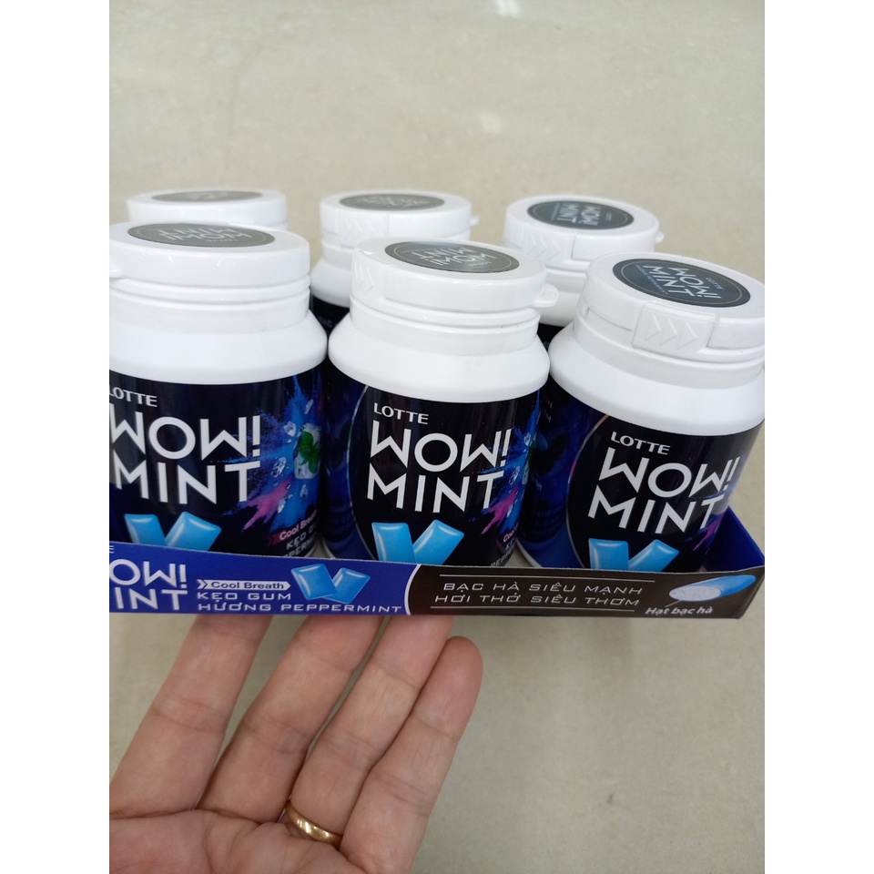 Kẹo Gum WOW MINT 58g
