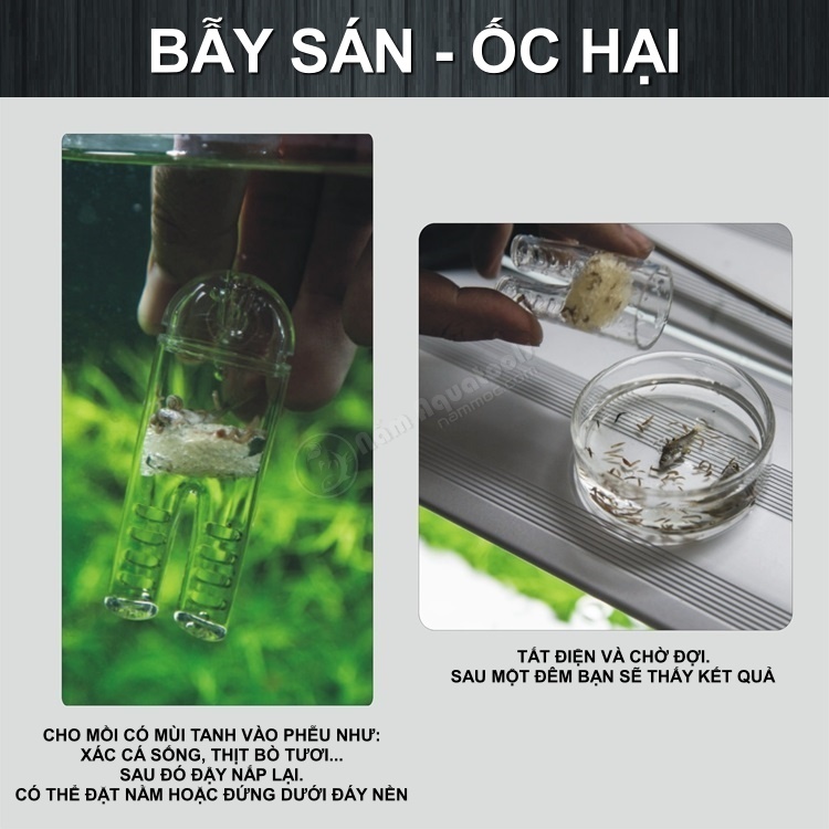 Phễu Acrylic Đa Năng Hình Ống Quần | Cho Cá Ăn Trùn Chỉ, Actermia, Bobo - Bẫy Sán - Bẫy Ốc Hại