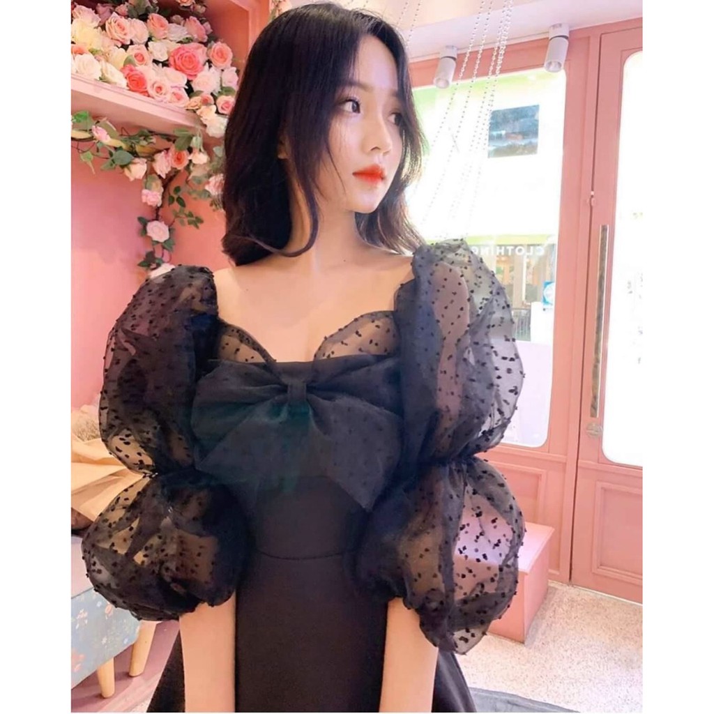 Đầm dự tiệc tay lưới bi phồng siêu sang - Liizy | BigBuy360 - bigbuy360.vn