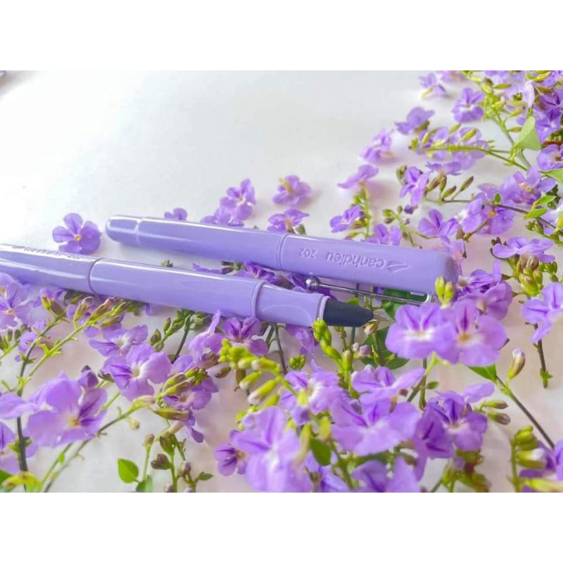 Bút Cánh Diều 202